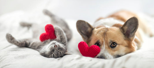 Maintaining Healthy Relationships Through Sound Sleep