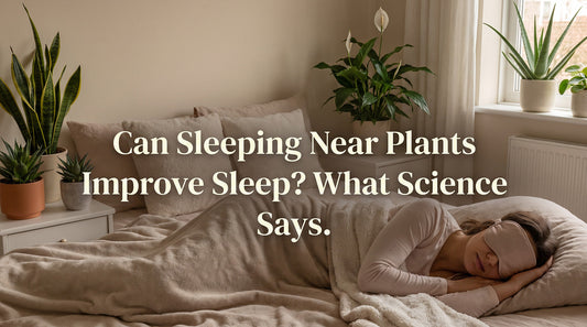 Can Sleeping Near Plants Improve Sleep