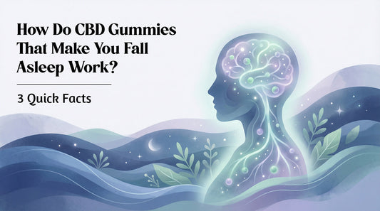 How Do CBD Gummies That Make You Fall Asleep Work