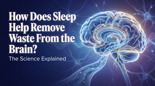 How Does Sleep Help Remove Waste From the Brain