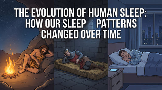 The Evolution of Human Sleep: How Our Sleep Patterns Changed Over Time
