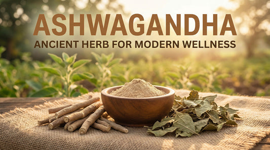 Unlocking the Benefits of Ashwagandha