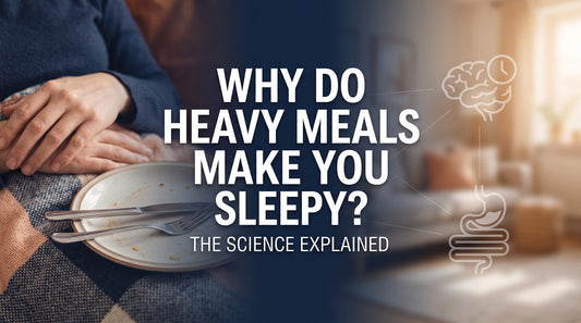 Why Do Heavy Meals Make You Sleepy