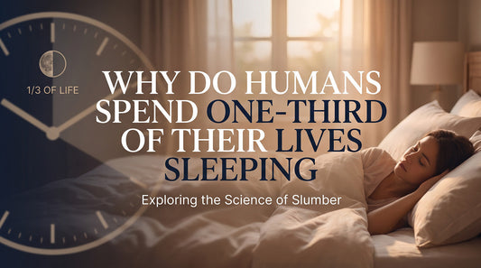 Why Do Humans Spend One-Third of Their Lives Sleeping