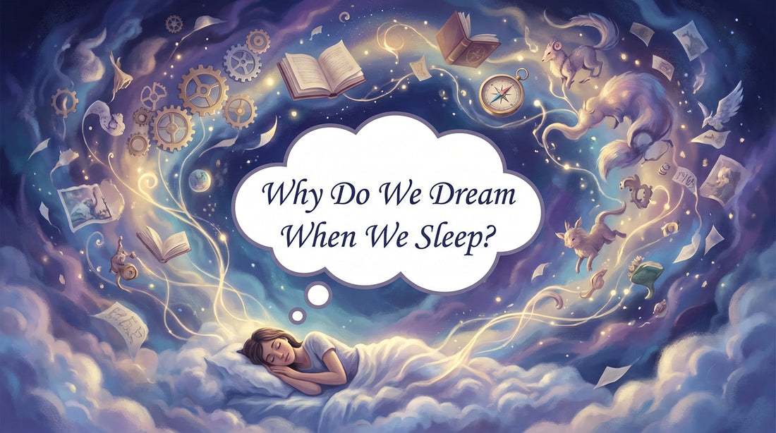 Why Do We Dream When We Sleep?