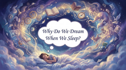Why Do We Dream When We Sleep?