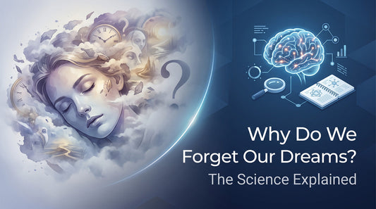 Why Do We Forget Our Dreams
