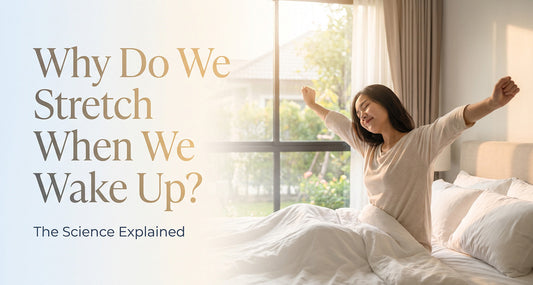 Why Do We Stretch When We Wake Up