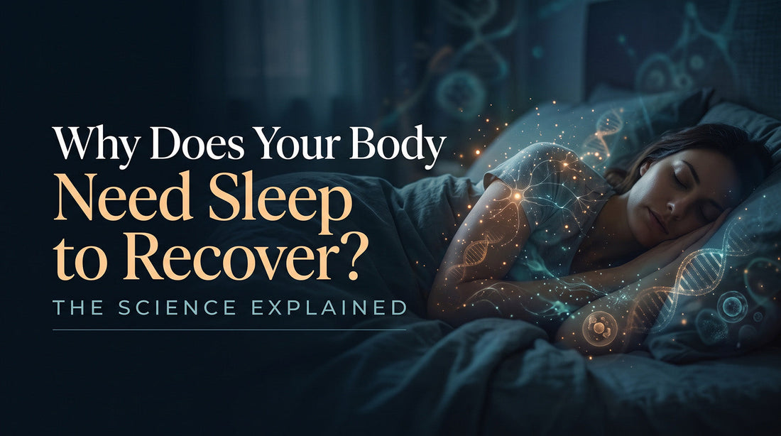 Why Does Your Body Need Sleep to Recover