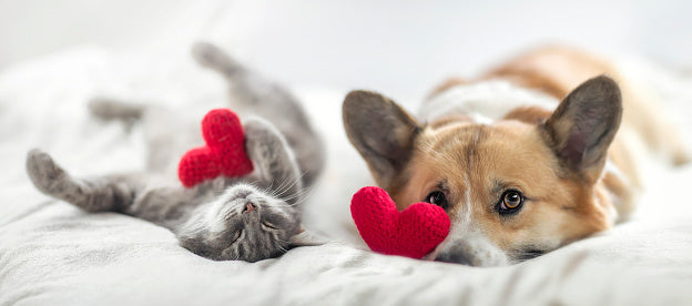 Maintaining Healthy Relationships Through Sound Sleep
